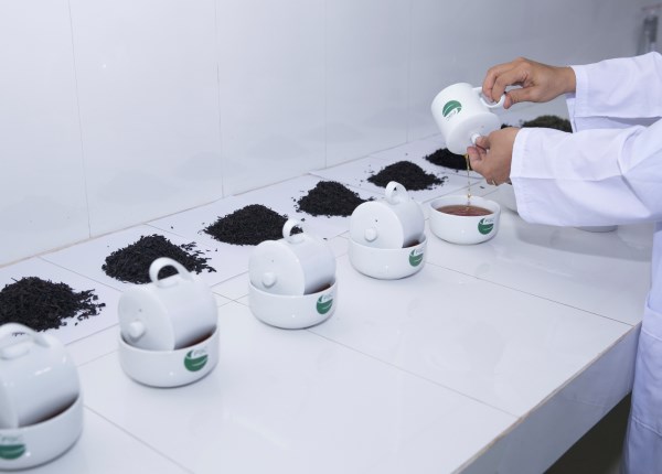 Hình ảnh công ty Thế Hệ Mới
