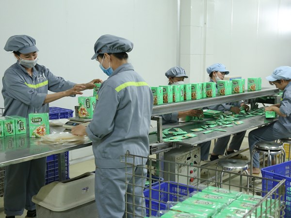 Hình ảnh công ty Thế Hệ Mới