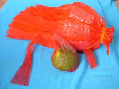 Túi đựng hoa quả - Nhựa Hưng Yên - Công Ty Cổ Phần Nhựa Hưng Yên