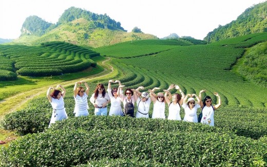Tour du lịch Mộc Châu