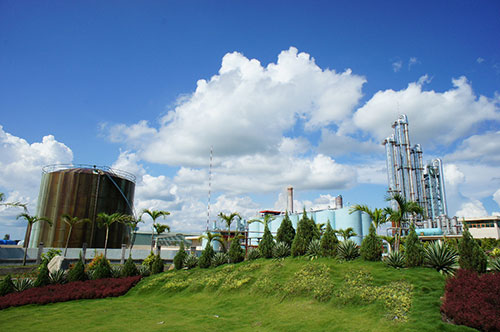 Nhà máy - Công Ty TNHH Tùng Lâm