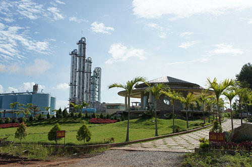 Nhà máy - Công Ty TNHH Tùng Lâm