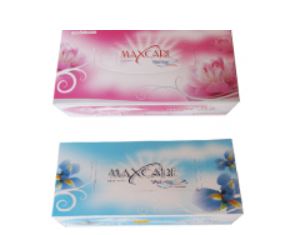 Công Ty Cổ Phần Giấy Và Bao Bì Việt Hoa