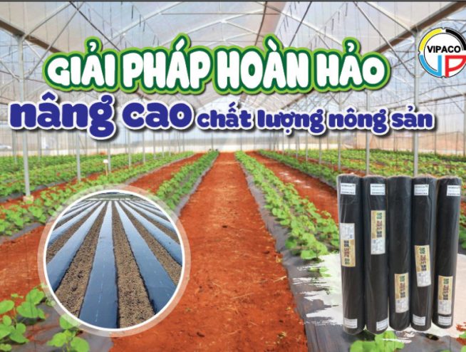 Màng phủ nông nghiệp - Bao Bì Vipaco - Công Ty TNHH Đầu Tư ứng Dụng Sản Xuất Bao Bì Việt