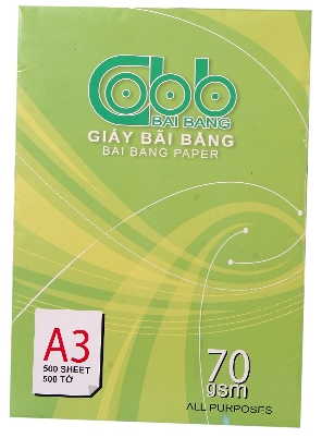 Tổng Công Ty Giấy Việt Nam