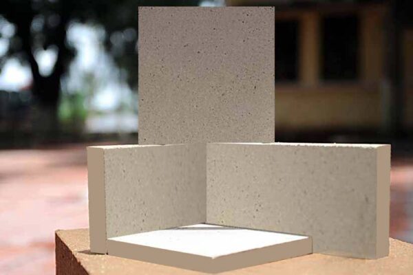 Gạch chịu Axit dị hình