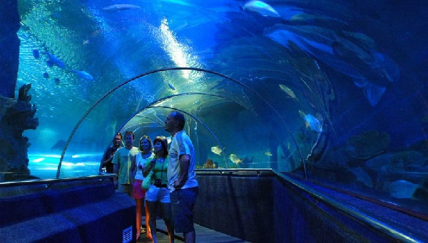 Dự án công trình Time City