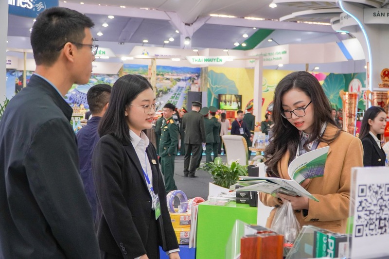 Hình ảnh công ty Ngọc Diệp