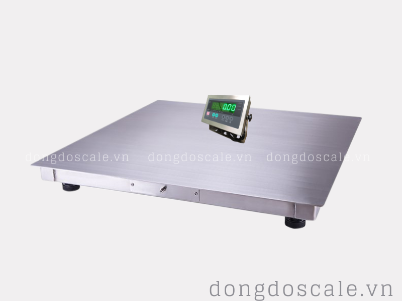 Cân sàn điện tử Inox - Cân Điện Tử Đông Đô - Công Ty Cổ Phần Thiết Bị Đo Lường Đông Đô