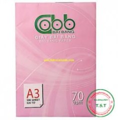 Công Ty Cổ Phần Dịch Vụ Thương Mại Công Nghệ T.S.T