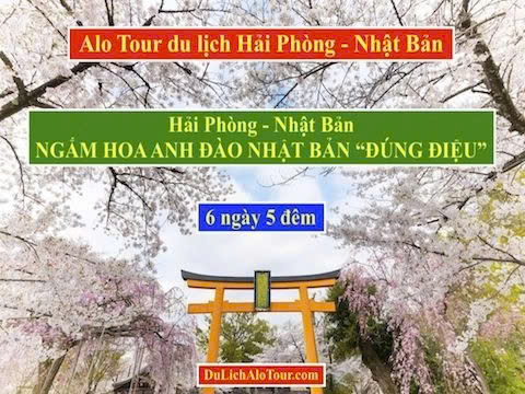 Tour du lịch Hải Phòng - Nhật Bản - Công Ty Cổ Phần Du Lịch Quốc Tế ALO TOUR