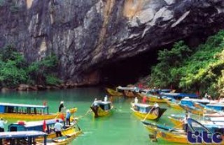 Du Lịch Phong Nha - Công Ty TNHH Cơ Hội Vàng Việt Nam