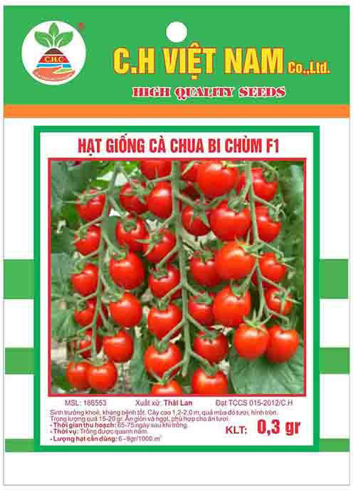 Hạt giống cà chua bi chùm F1 - Hạt Giống Cây Trồng C.H Việt Nam - Công Ty TNHH C.H Việt Nam