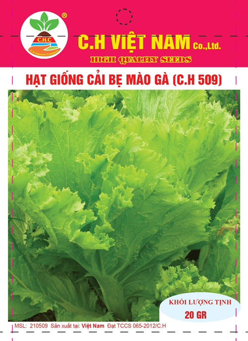 Hạt giống cải bẹ mào gà - Hạt Giống Cây Trồng C.H Việt Nam - Công Ty TNHH C.H Việt Nam