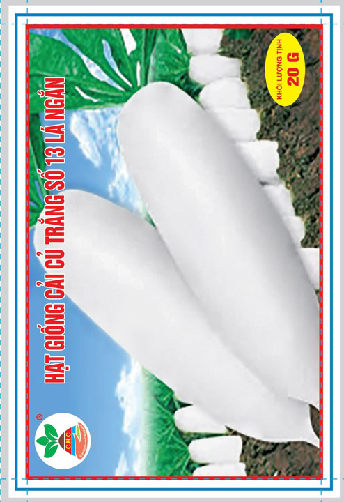 Hạt giống cải củ trắng số 13 lá ngắn - Hạt Giống Cây Trồng C.H Việt Nam - Công Ty TNHH C.H Việt Nam