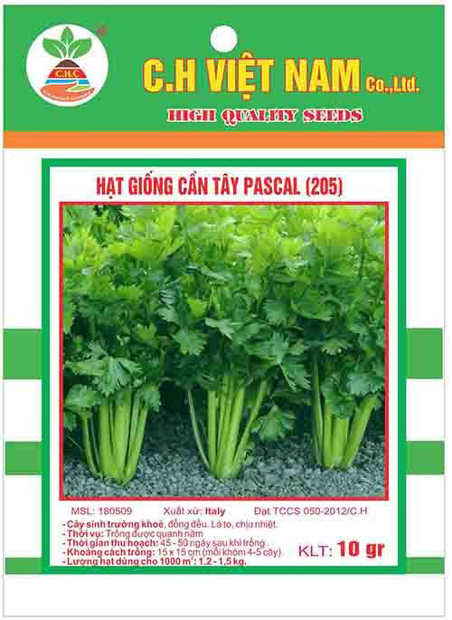 Hạt giống cần tây Pascal - Hạt Giống Cây Trồng C.H Việt Nam - Công Ty TNHH C.H Việt Nam