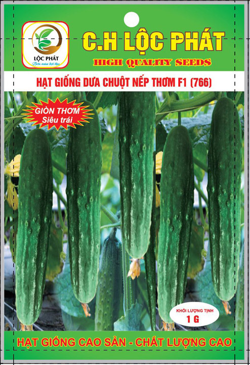 Hạt giống dưa chuột nếp thơm F1 - Hạt Giống Cây Trồng C.H Việt Nam - Công Ty TNHH C.H Việt Nam