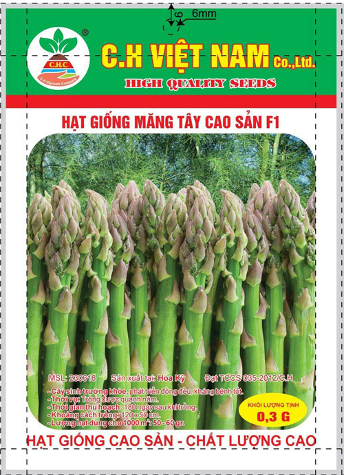 Hạt giống măng tây cao sản F1 - Hạt Giống Cây Trồng C.H Việt Nam - Công Ty TNHH C.H Việt Nam