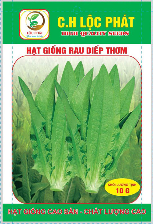Hạt giống rau diếp thơm - Hạt Giống Cây Trồng C.H Việt Nam - Công Ty TNHH C.H Việt Nam