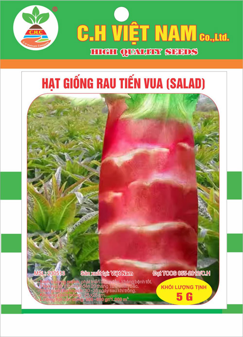 Hạt giống rau tiến vua (Salad) - Hạt Giống Cây Trồng C.H Việt Nam - Công Ty TNHH C.H Việt Nam