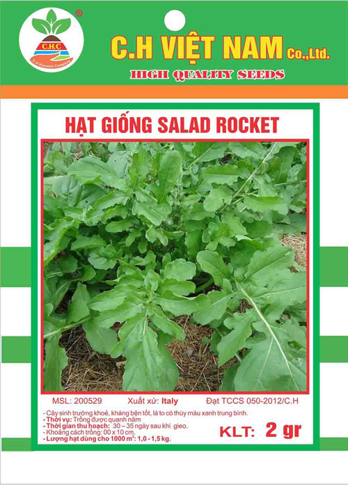 Hạt giống salad rocket - Hạt Giống Cây Trồng C.H Việt Nam - Công Ty TNHH C.H Việt Nam