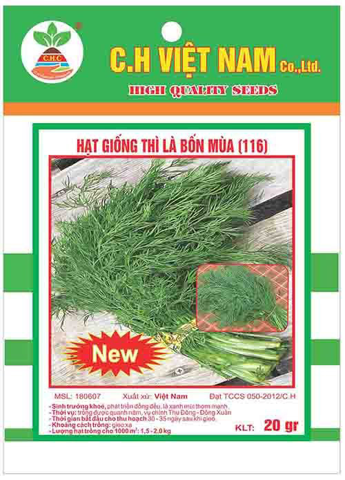 Hạt giống thì là bốn mùa - Hạt Giống Cây Trồng C.H Việt Nam - Công Ty TNHH C.H Việt Nam