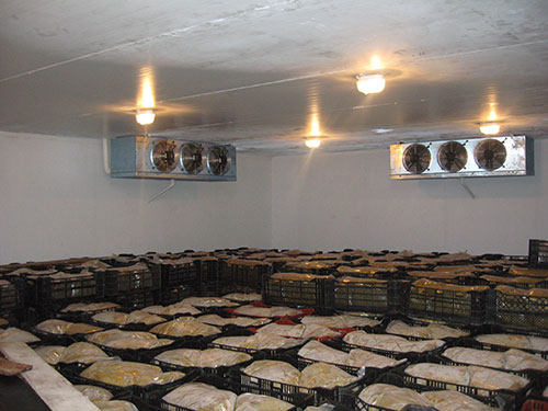 Kho lạnh bảo quản nông sản - Kho Lạnh Thái Ngọc Tuấn - Công Ty CP Điện Lạnh Công Nghiệp Thái Ngọc Tuấn
