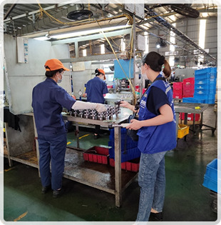 Hình ảnh thực tế từ các dự án