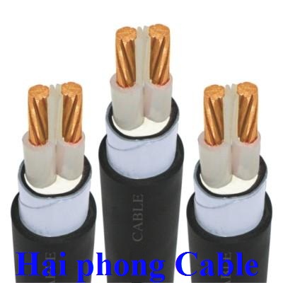 Cáp Bọc Hạ Thế