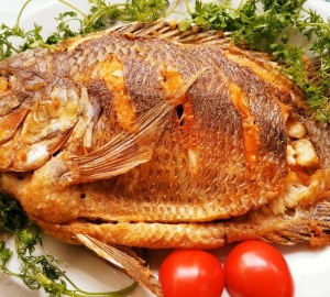 Cá điêu hồng chiên