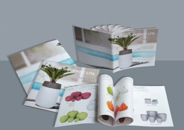 In Catalogue - In ấn Sáng Tạo - Công Ty TNHH Thiết Kế Tạo Mẫu & In ấn Sáng Tạo