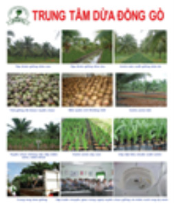 In Poster - In ấn Sáng Tạo - Công Ty TNHH Thiết Kế Tạo Mẫu & In ấn Sáng Tạo