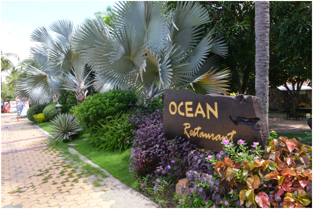 Dịch vụ - MuiNe Ocean Resort And Spa - Công Ty CP Du Lịch Đại Dương Mũi Né