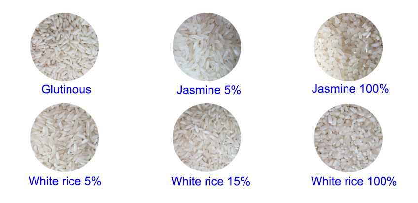 Gạo