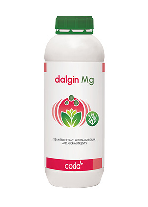 Dalgin Mg - Phân Bón SenTra - Công Ty TNHH SenTra