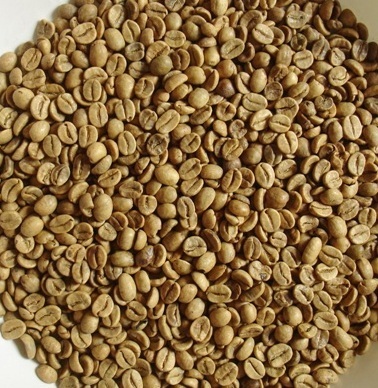 ROBUSTA - Công Ty TNHH Trà Sao Vàng