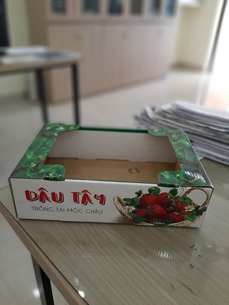 Hộp giấy in offset