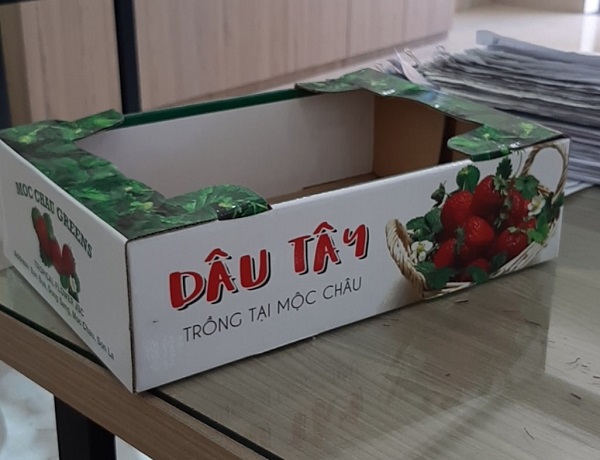 Hộp giấy in offset - Bao Bì Anh Minh - Công Ty Cổ Phần Bao Bì Anh Minh
