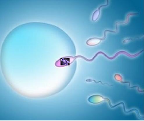 Công Ty TNHH Đầu Tư Và Phát Triển Nam Thái