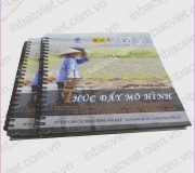 In Catalogue dạng lò xo gáy