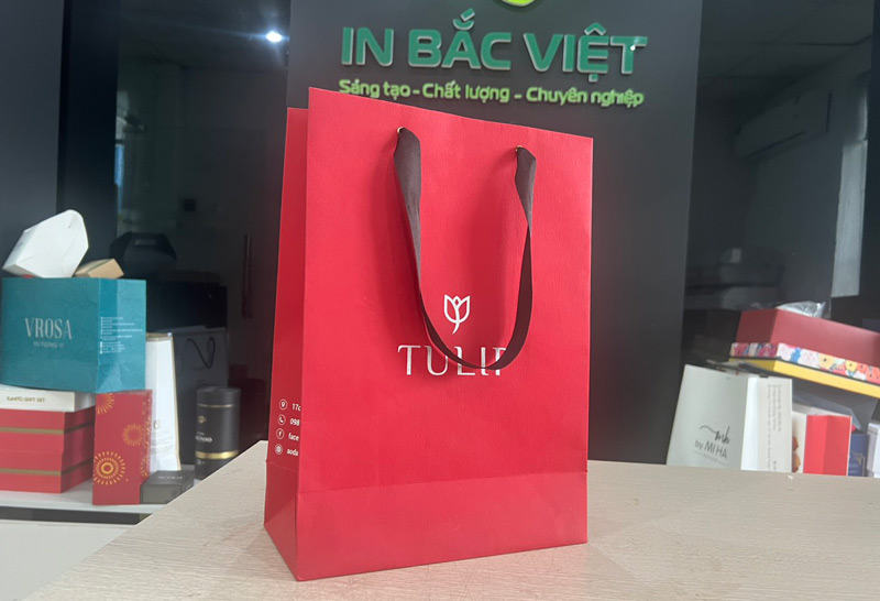 In túi giấy mỹ thuật