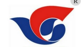 Logo công ty - Ron Casuvi - Công Ty TNHH Đầu Tư Phát Triển Casuvi