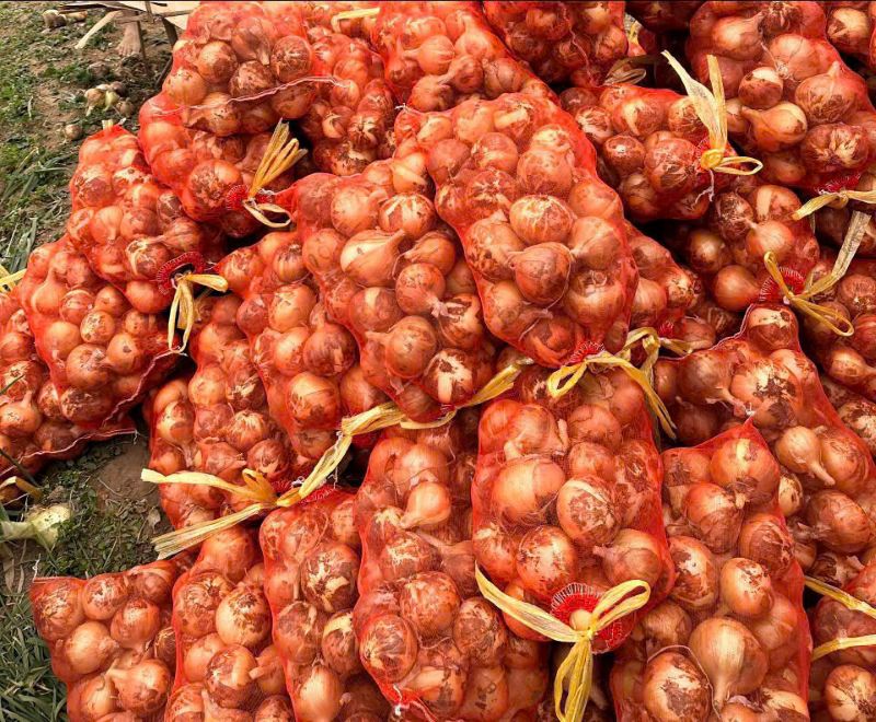  - Công Ty Cổ Phần Thương Mại - Phát Triển Dự án Mai Trang