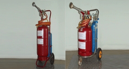 Xe đẩy tay chữa cháy - Công Ty CP Khoa Học Công Nghệ An Sinh Xanh