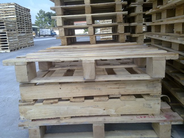 Pallet gỗ