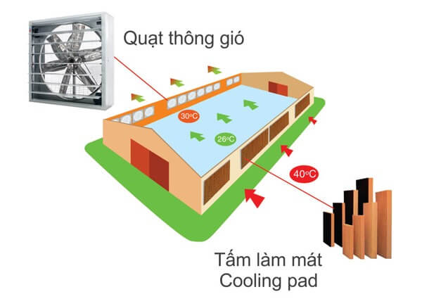 Hệ thống làm mát nhà xưởng áp suất âm