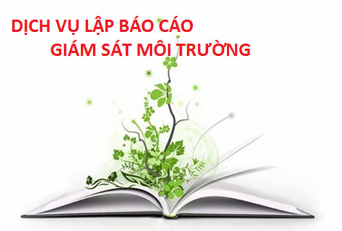 Báo cáo giám sát môi trường định kỳ - Công Ty TNHH Công Nghệ Môi Trường Niềm Tin Việt
