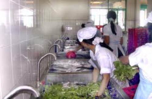 Dịch vụ nấu ăn - Suất Ăn Nam Thiện Phát - Công Ty TNHH Hai Thành Viên Dịch Vụ Nam Thiện Phát