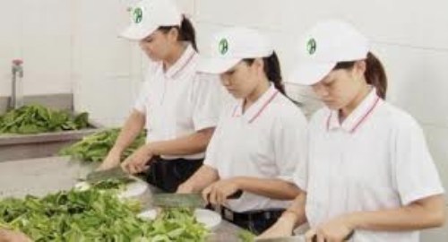 Dịch vụ nấu ăn - Suất Ăn Nam Thiện Phát - Công Ty TNHH Hai Thành Viên Dịch Vụ Nam Thiện Phát