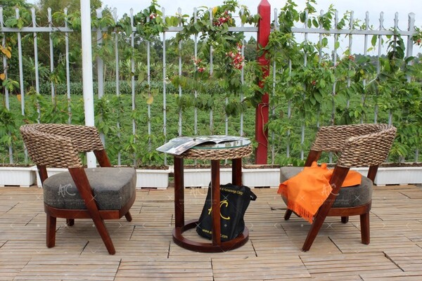 Bộ bàn ghế cafe lục bình WAIS-098A